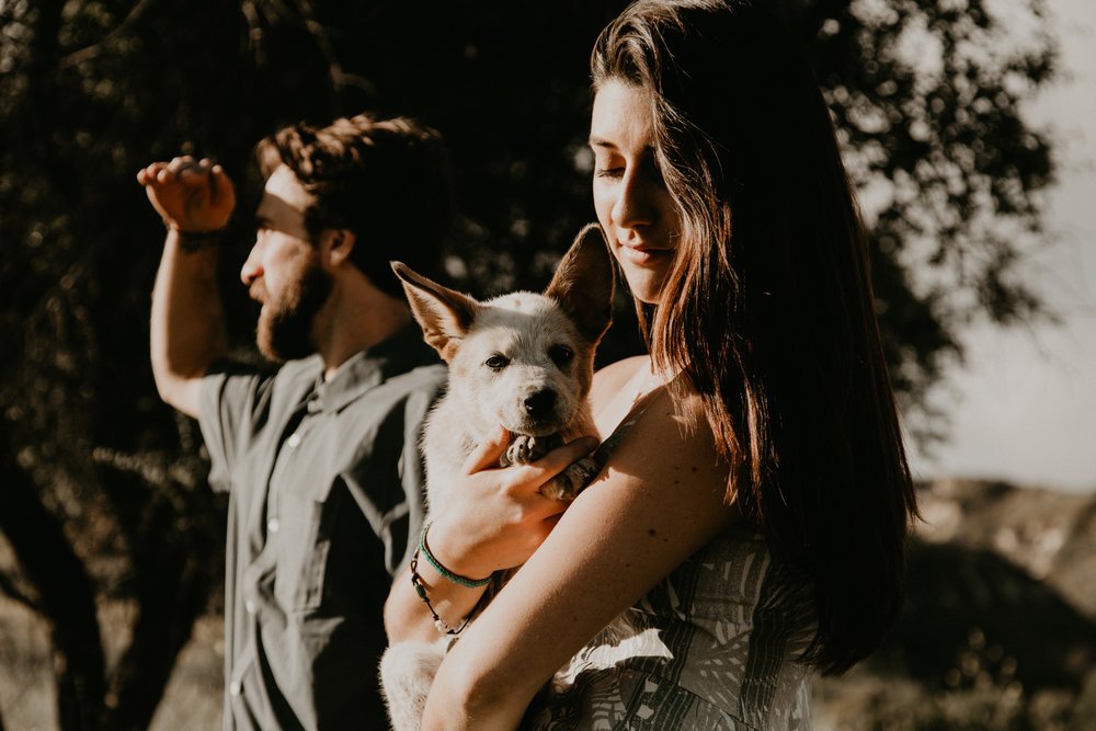 Engagement Photos with Your Pup