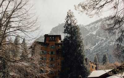 Danielle + Steve | Intimate Yosemite Wedding | Yosemite Wedding Photographer