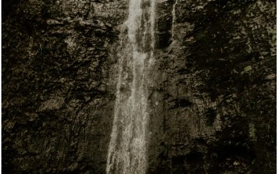 Manoa Falls Adventure Session | Oahu Couples Photographer