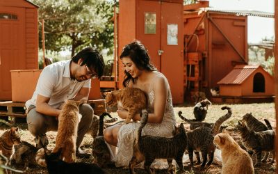 Elopement at Pu’u Pehe Cove | Lanai Elopement Photographer