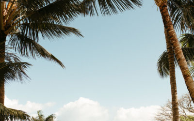 Kualoa Ranch Elopement